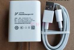 vivoxshot原装充电器输出输入（vivo手机充电器输出电压是多少）