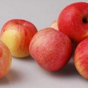 苹果的生产周期是什么？-苹果一个季度多少天
