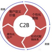 哪个品牌的模式属于C2B模式（哪个品牌的模式属于c2b模式呢）