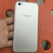 如何查看手机机型是vivo X9或是vivo X9L？vivox9的型号是多少