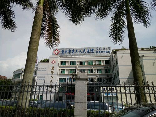 惠州市第六人民医院是三甲吗？(惠州苹果6多少钱)  第2张