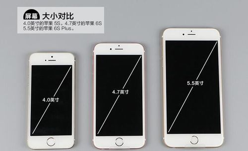 苹果iPhone6SPlus尺寸多大？(6splus尺寸长多少厘米)  第1张